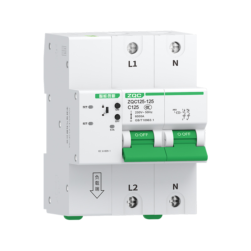 ZQC125-125/2P系列